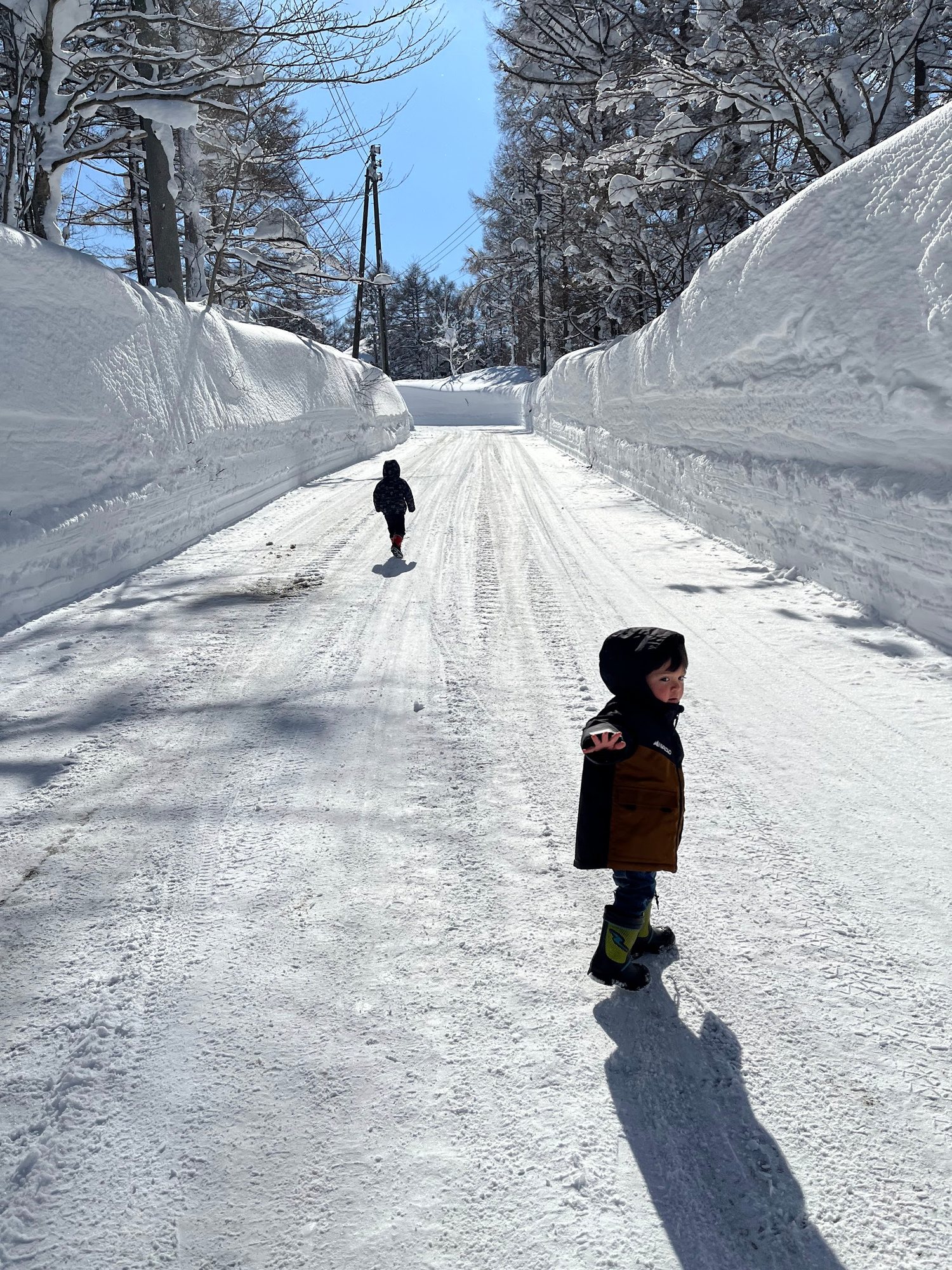 背丈より高い雪の壁の間の道を歩く、小さな子ども2人